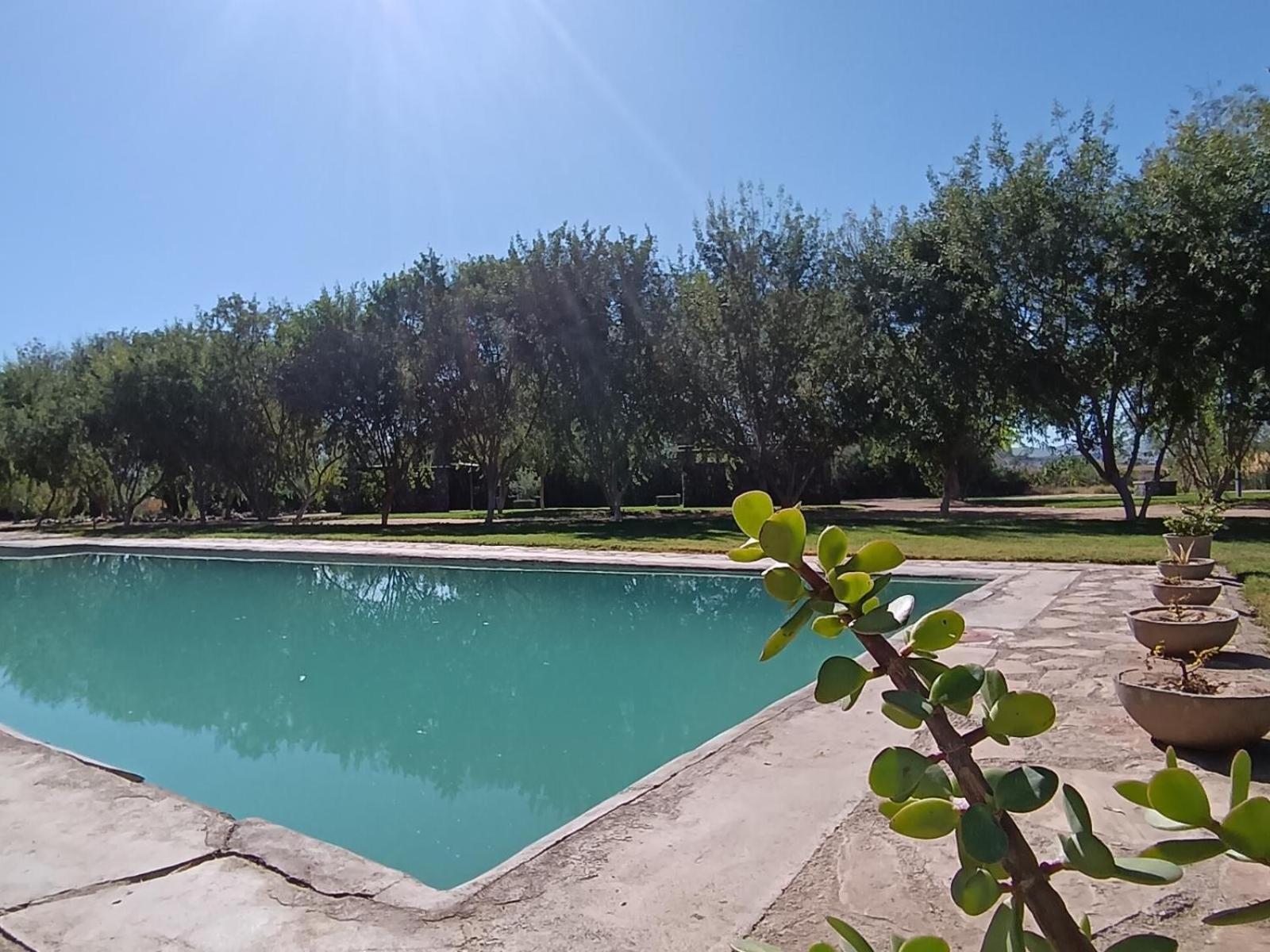 Kwelanga River Lodge Vioolsdrif Екстер'єр фото
